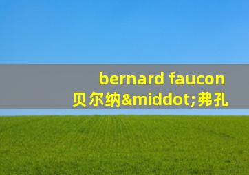 bernard faucon 贝尔纳·弗孔